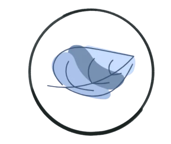 Logo Sloane